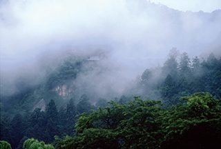 山本やす子《雨上がり》2017年 インクジェットプリント 作家蔵 ©︎山本やす子