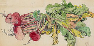 《赤蕪》昭和19（1944）年